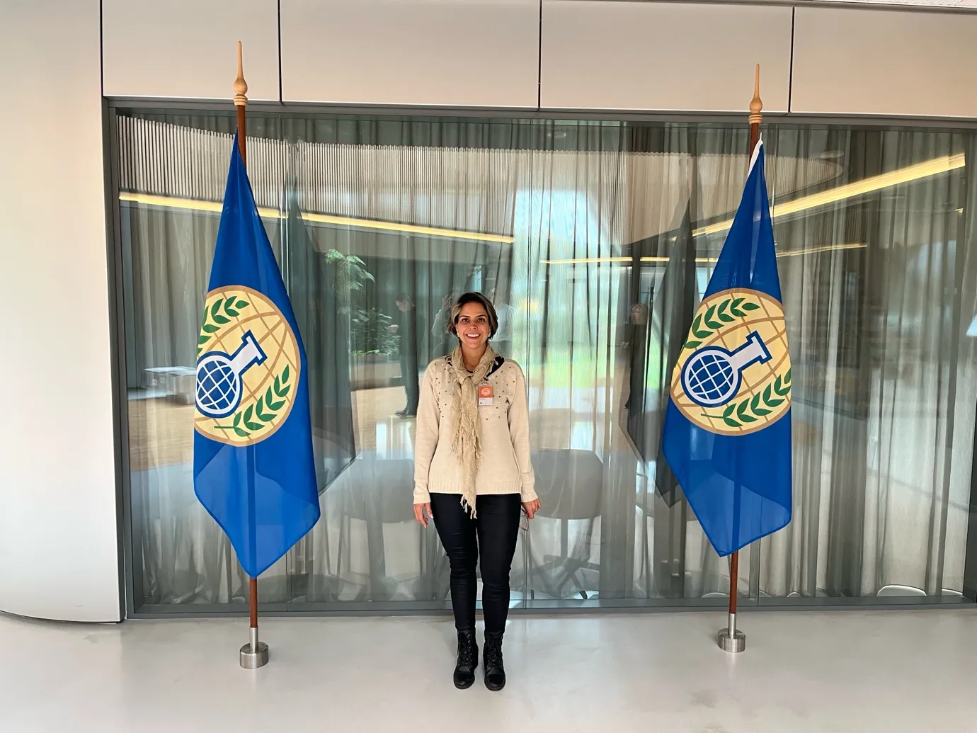 OPCW temporary working group meeting photo 1